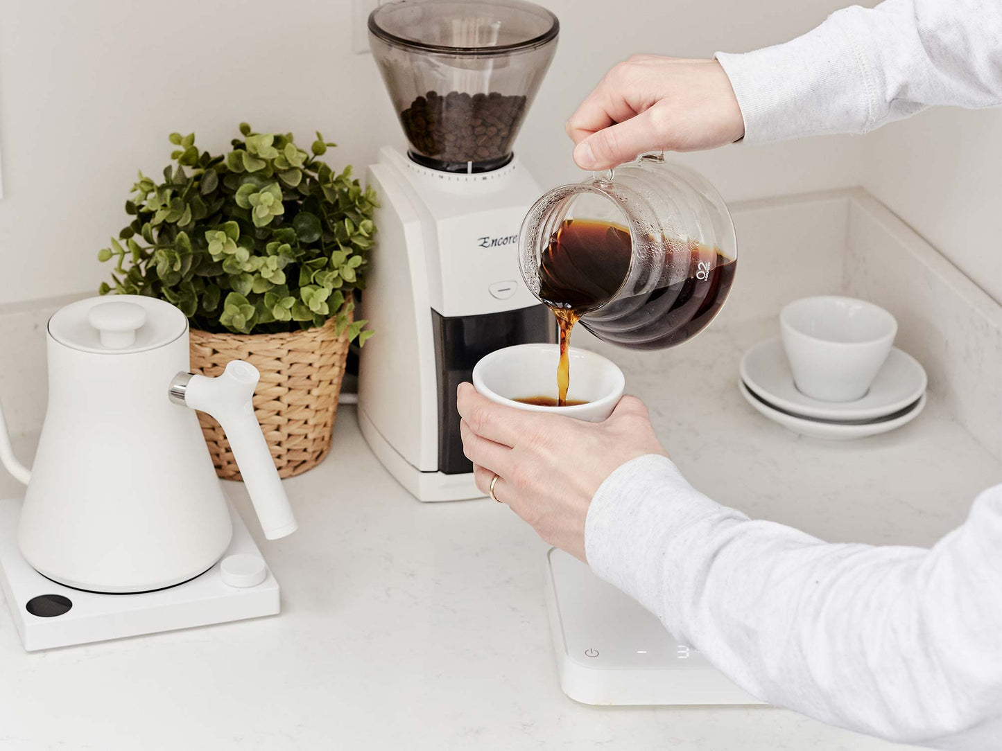 Baratza Encore Conical Burr Coffee Grinder